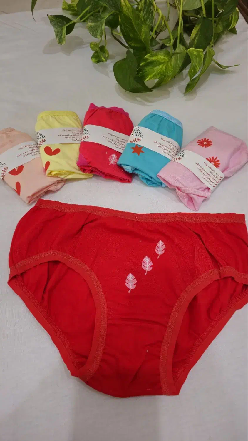 لباس زیر|لباس|همدان, |دیوار