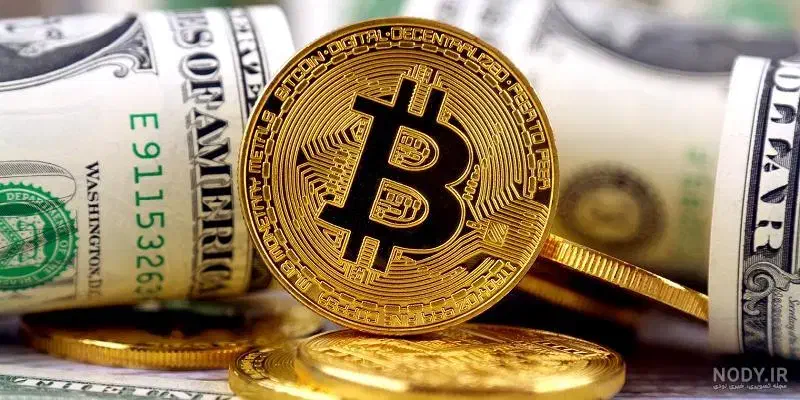 کد بزن جایزه بگیر|کارت هدیه و تخفیف|مشهد, شهید قربانی|دیوار