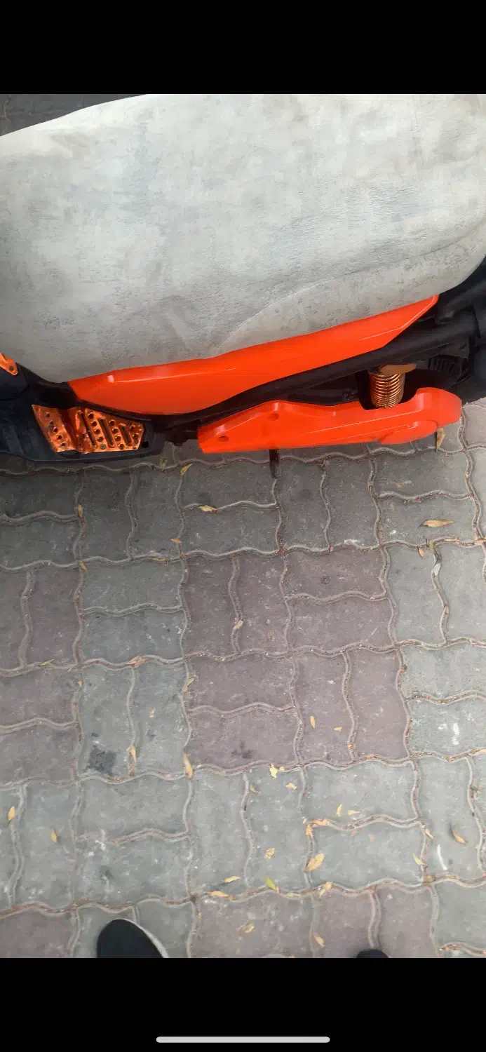 سافاری|موتورسیکلت|کیش, |دیوار