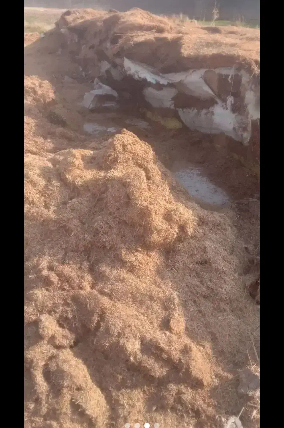 کاه نرم کاهکوب بارون خورده|لوازم جانبی حیوانات|مرودشت, رودبال|دیوار