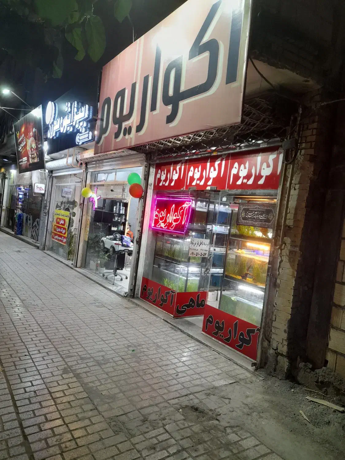 واگذاری وفروش لوازم اکواریم صفرتاصد کامل یکجا|ماهی|مشهد, شهرک رازی (شهرک غرب)|دیوار