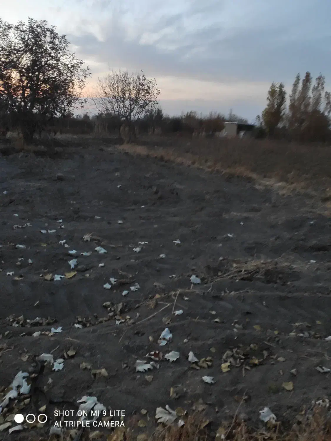 اجاره زمین یک و نیم طناب با برق در روستای طلاتپه|اجارهٔ دفتر صنعتی، کشاورزی، تجاری|ارومیه, |دیوار