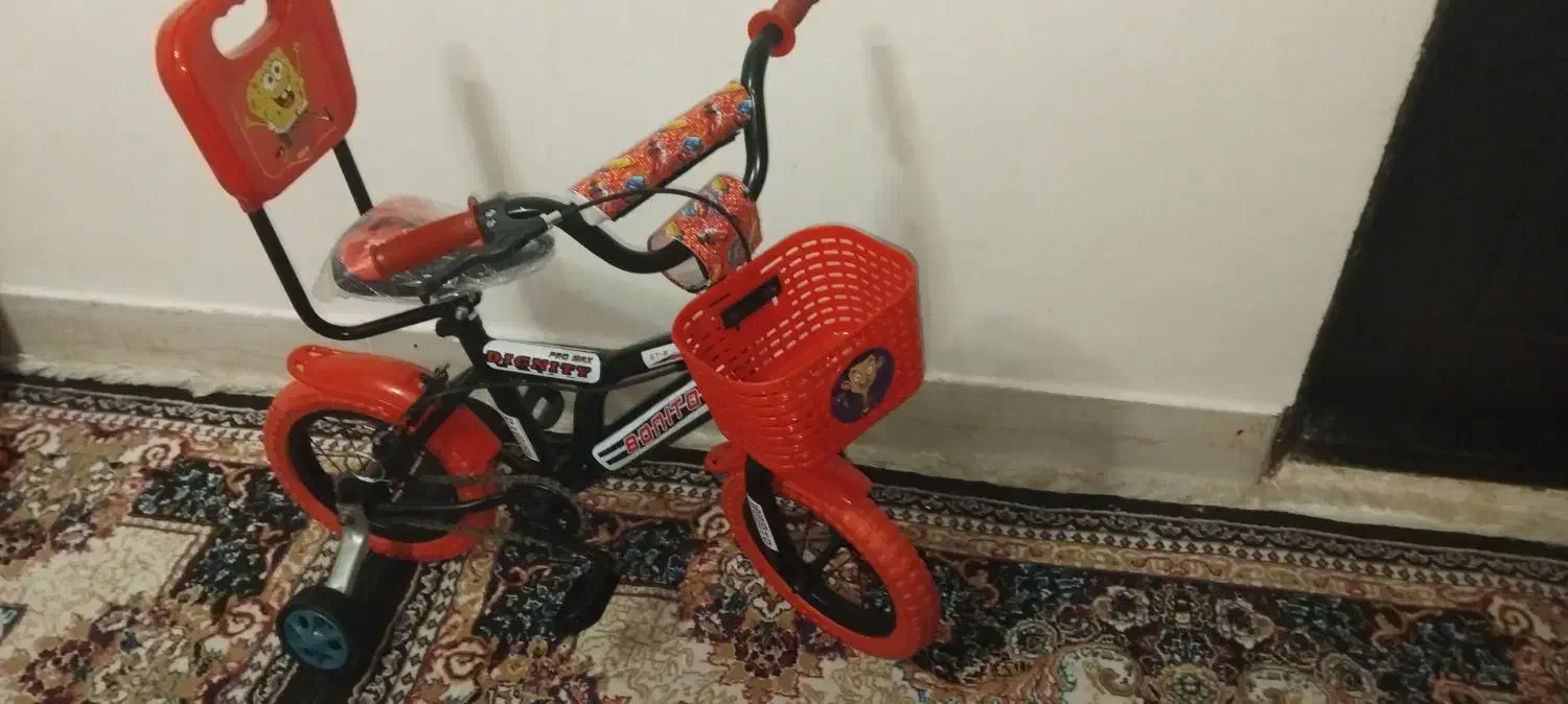 دوچرخه 12|دوچرخه، اسکیت، اسکوتر|تربت جام, میان جام|دیوار