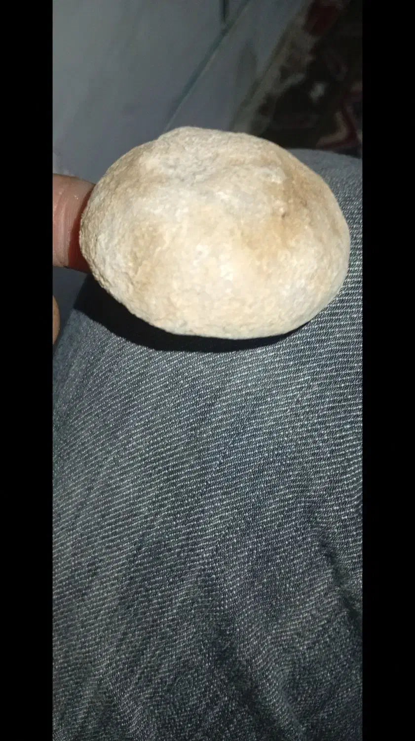 فروش فسیل نادر و زیبا|کلکسیون اشیاء عتیقه|داراب, |دیوار