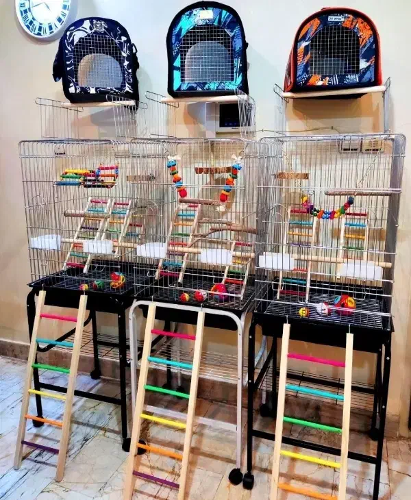 قفس پرنده لوازم کوله بازی لانه تاب دانه کف دریاوان|پرنده|اردبیل, |دیوار