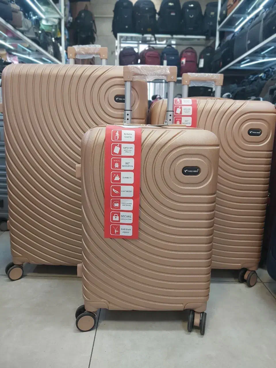 چمدان|کیف، کفش، کمربند|تبریز, |دیوار