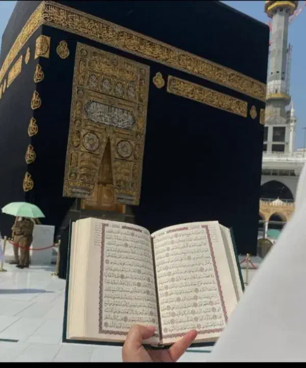 فروش فیش حج تمتع سال ۸۵|تور و چارتر|تبریز, |دیوار