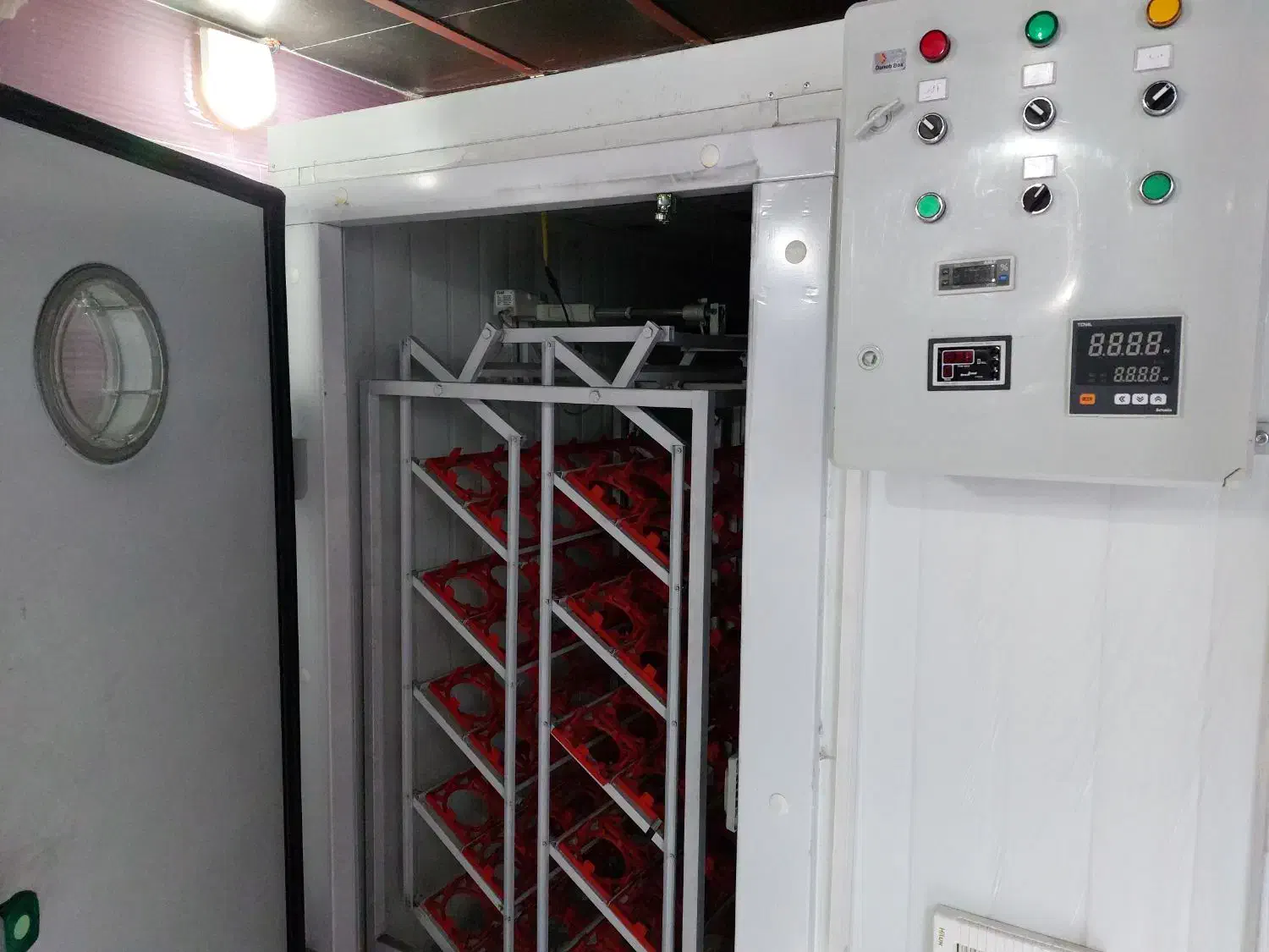 پکیج کامل جوجه کشی شترمرغ|لوازم جانبی حیوانات|کاشان, نوش آباد|دیوار