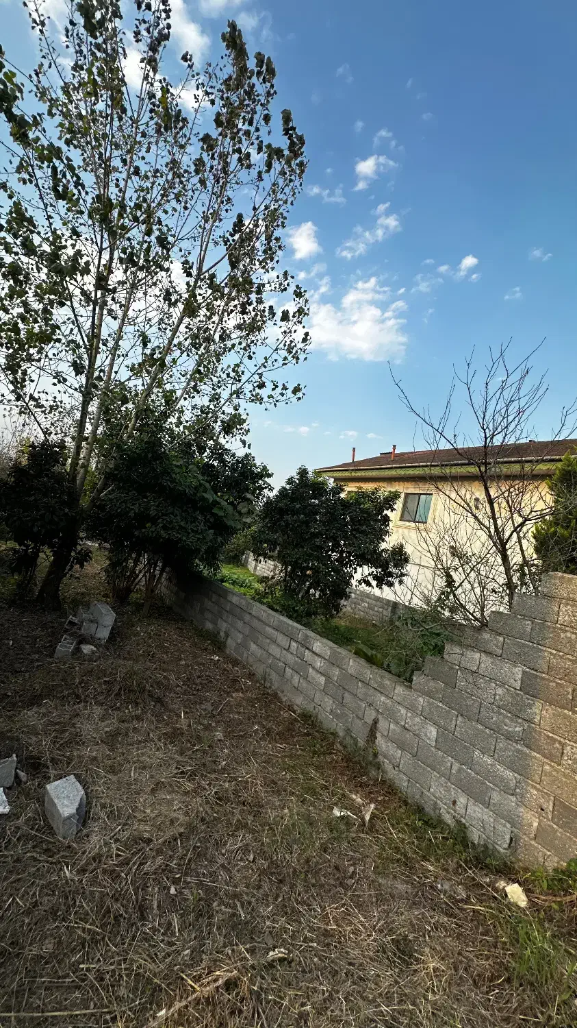 زمین مسکونی با جواز ساخت لاهیجان لیالستان|فروش زمین و ملک کلنگی|لنگرود, |دیوار