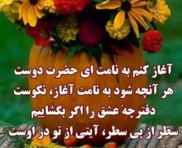 سرمایه گذاری زرند|فعالیت داوطلبانه|زرند, |دیوار