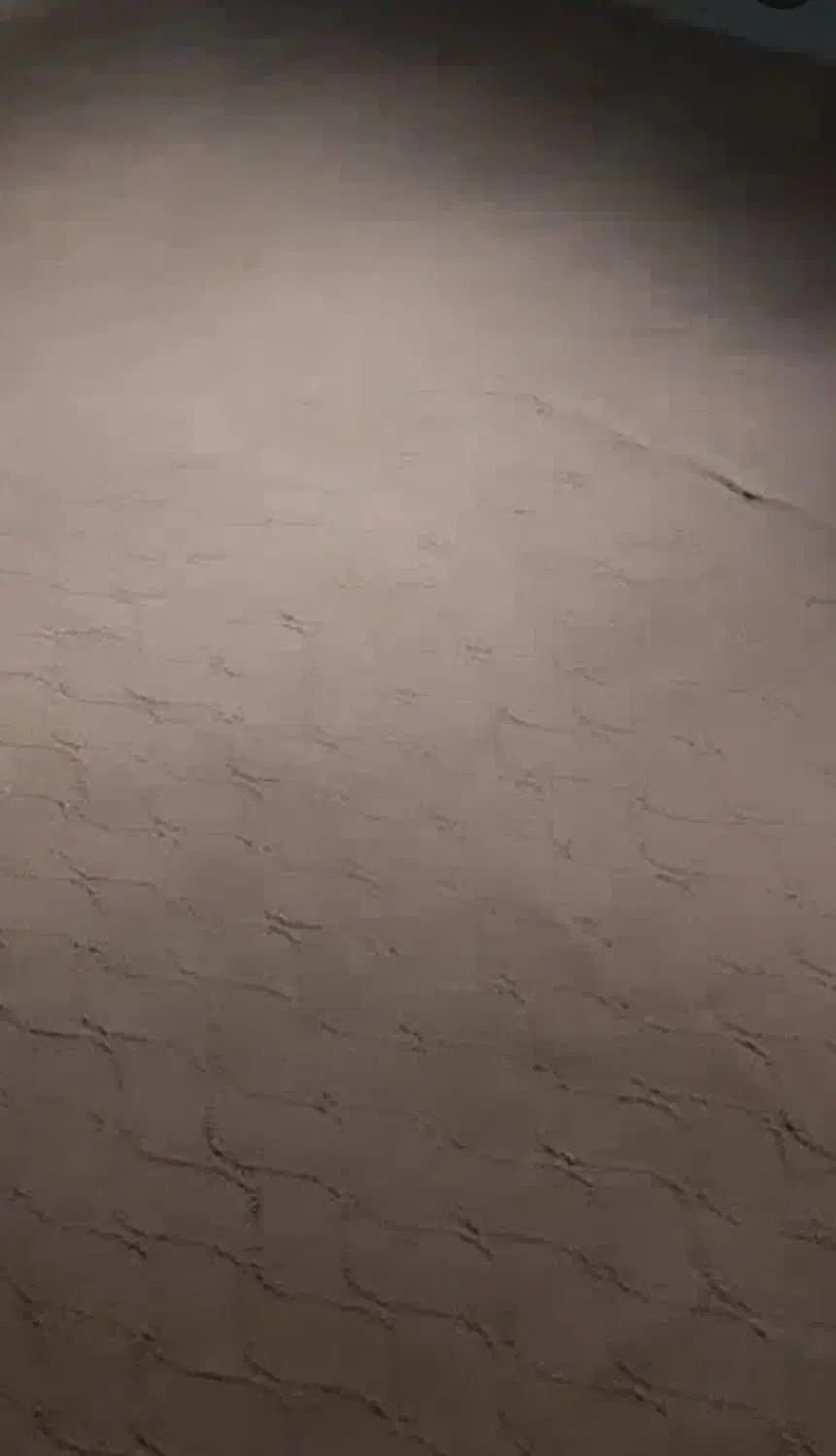 موکت|موکت|بروجرد, |دیوار