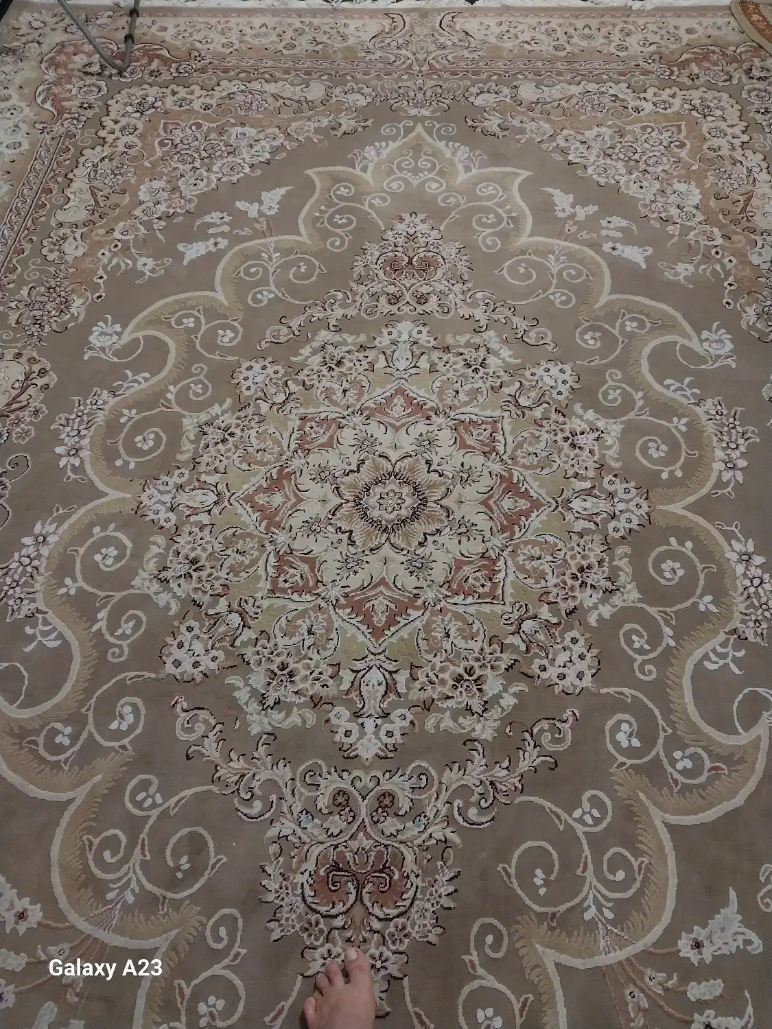 فرش گردویی|فرش|رشت, آب آسیاب|دیوار