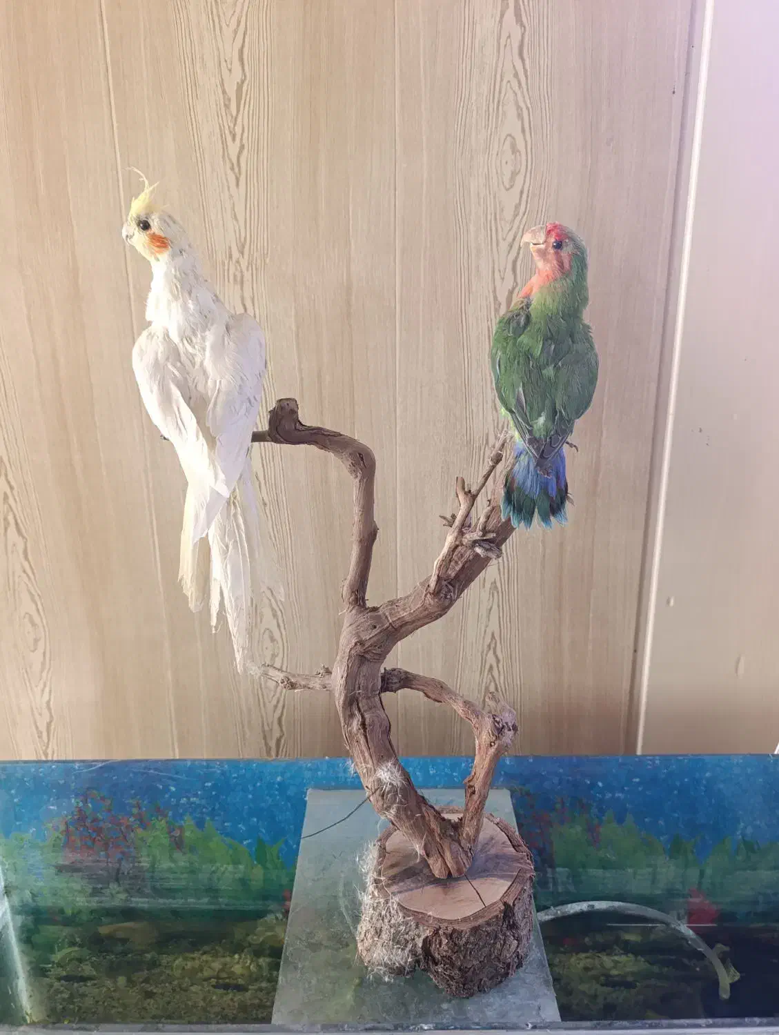 مجسمه|مجسمه، تندیس، ماکت|نیشابور, گنبد سبز|دیوار