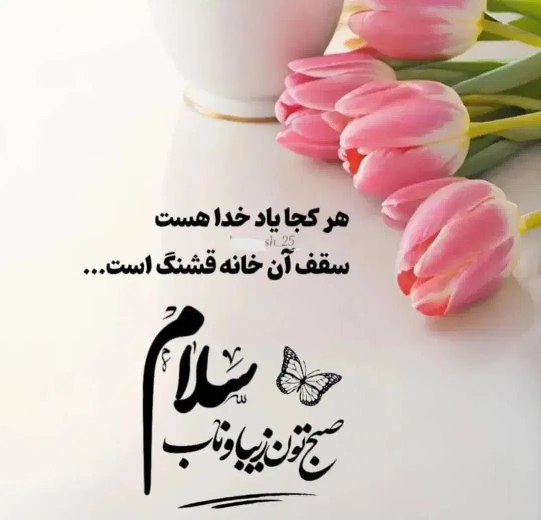 نظافتچی آقا هستم|خدمات نظافت|تهران, سبلان (لشگر)|دیوار