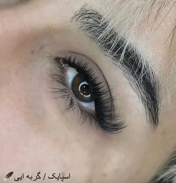 اکستنشن مژه و لیفت مژه و ابرو باکمترین قیمت|خدمات آرایشگری و زیبایی|زاهدان, |دیوار