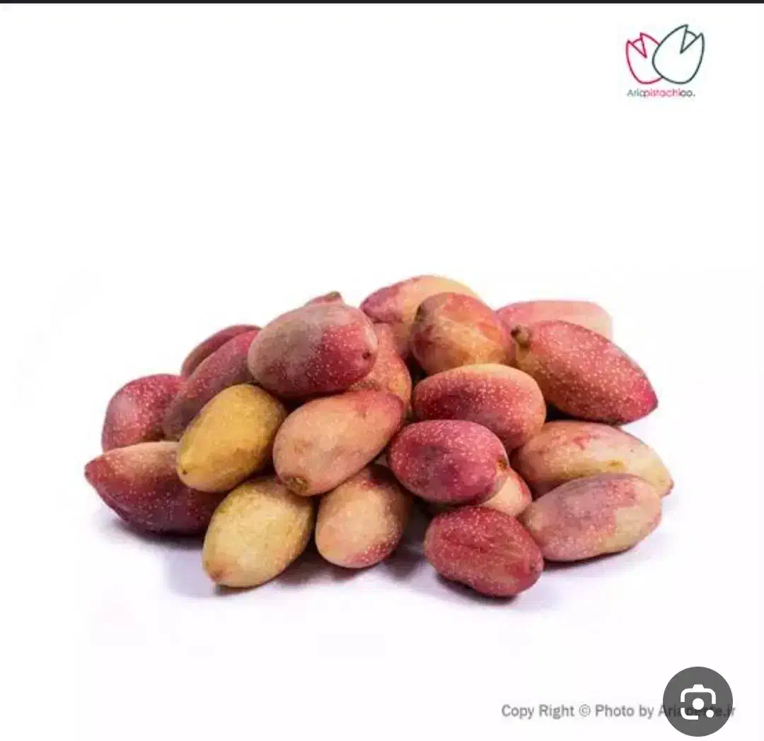 خرید پسته پوک|خدمات باغبانی و درختکاری|زرند, |دیوار