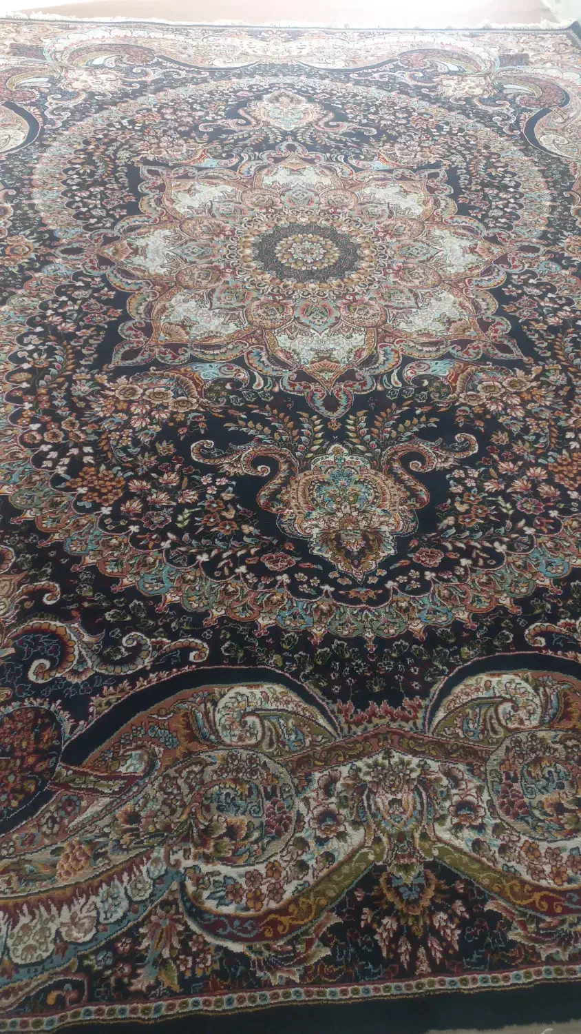 قالی تمیز و نو|فرش|تربت جام, پاسداران|دیوار