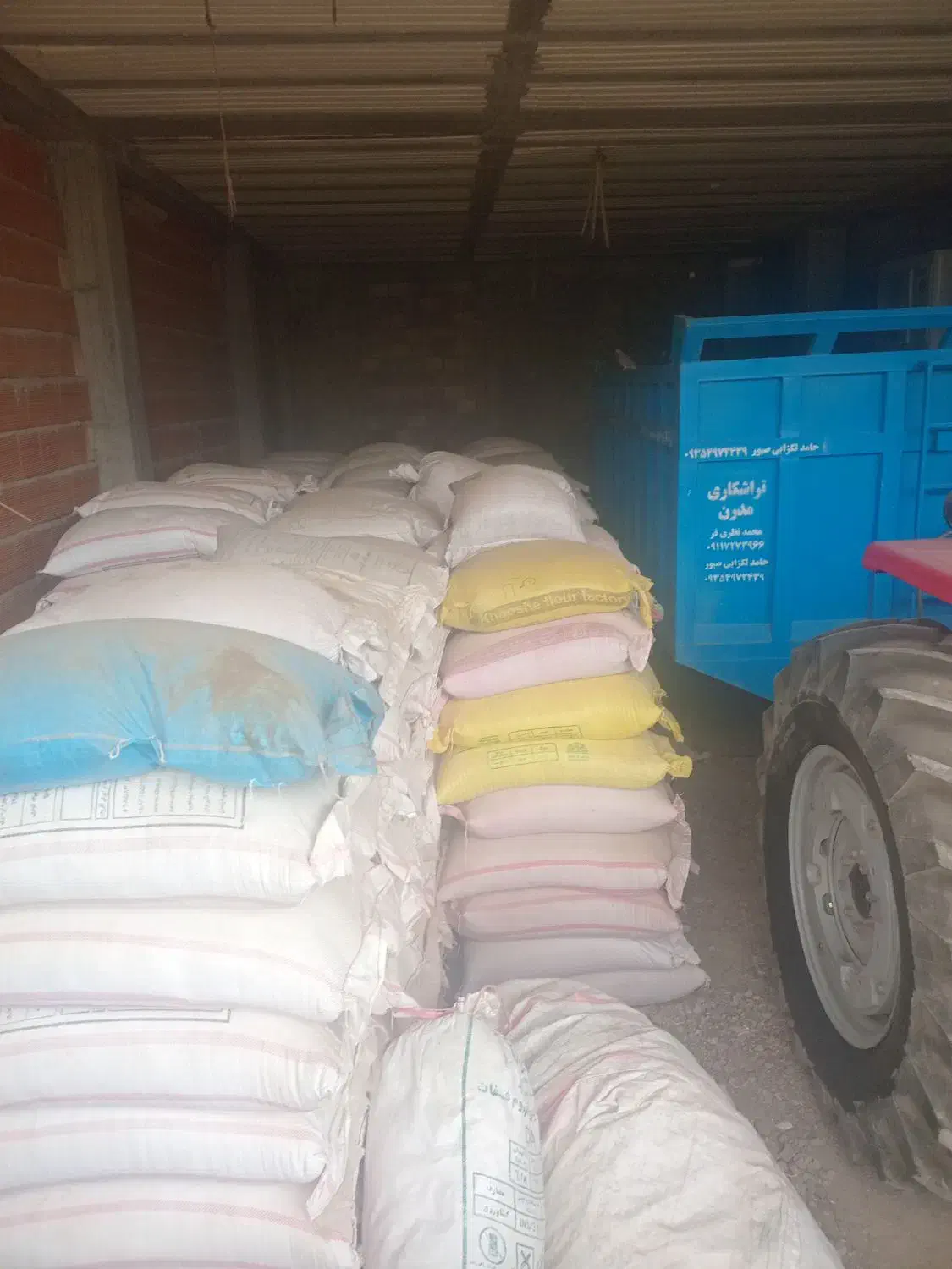 بذر گندم لاین ۱۷ بوجاری شده|عمدهفروشی|کلاله, |دیوار