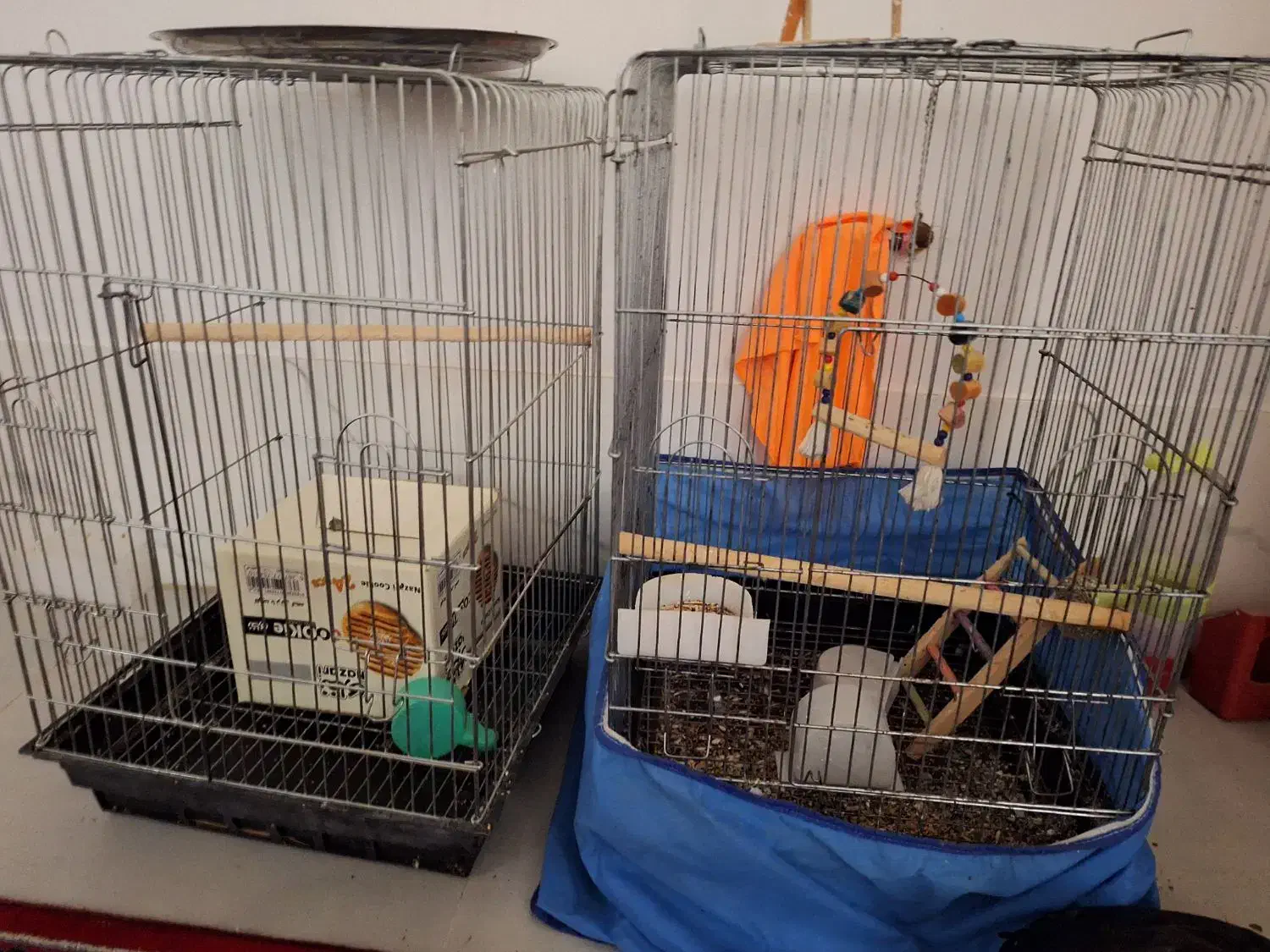 قفس بزرگ|لوازم جانبی حیوانات|مرودشت, ابوذر شمالی‎|دیوار