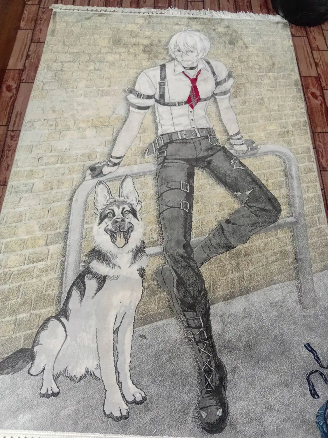 فرش فانتزی|فرش|صدرا-فارس, باغشهر دادگستری قدیم|دیوار