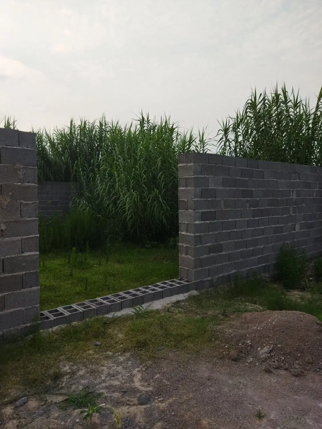 زمین 107متری رشت جاده فومن اتشگاه|فروش زمین و ملک کلنگی|رشت, آتشگاه|دیوار