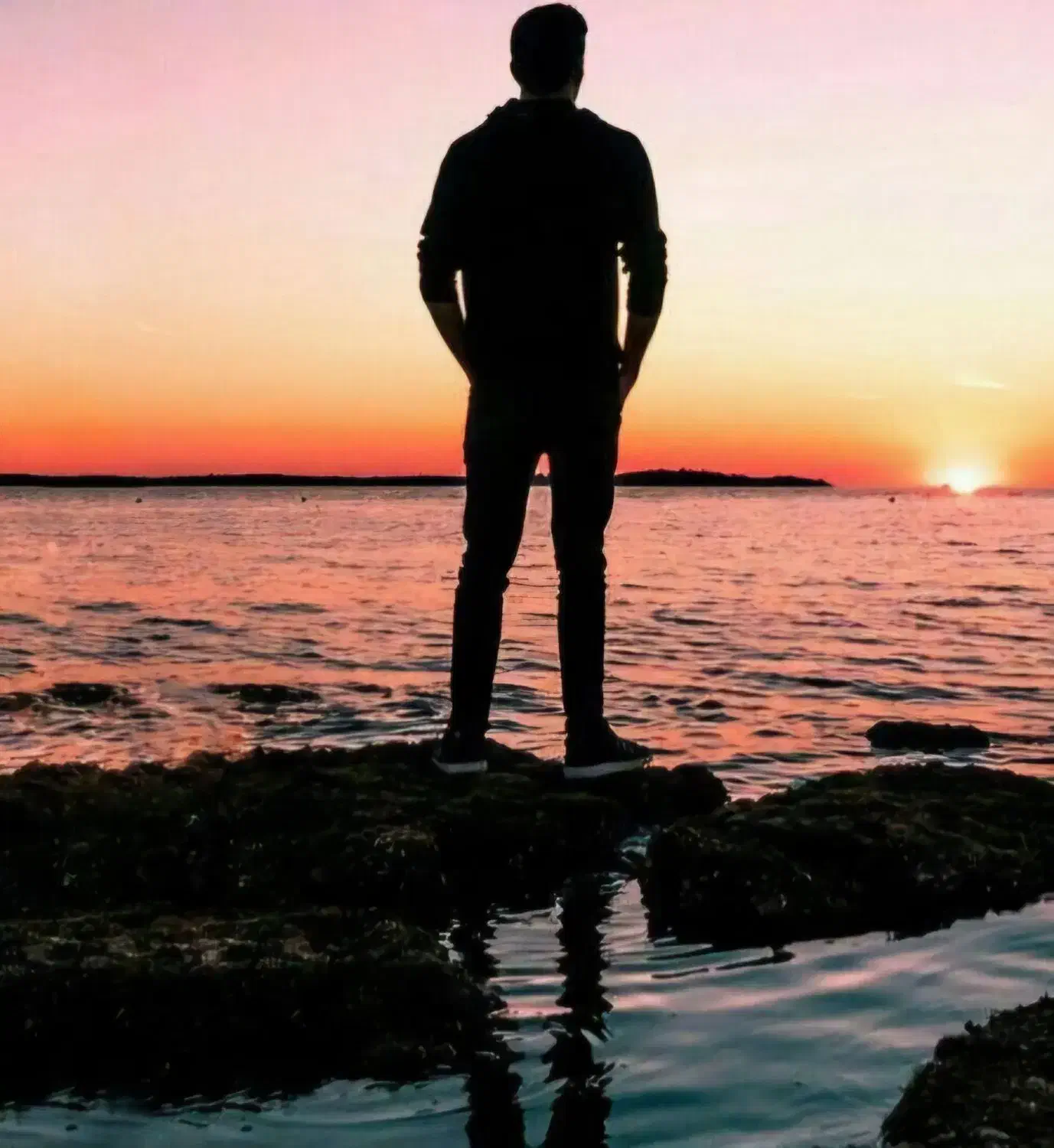 فیش حقوقی،ضمانت برای دادسرا|خدمات مالی، حسابداری، بیمه|تهران, شهرک گلها (تهرانسر)|دیوار