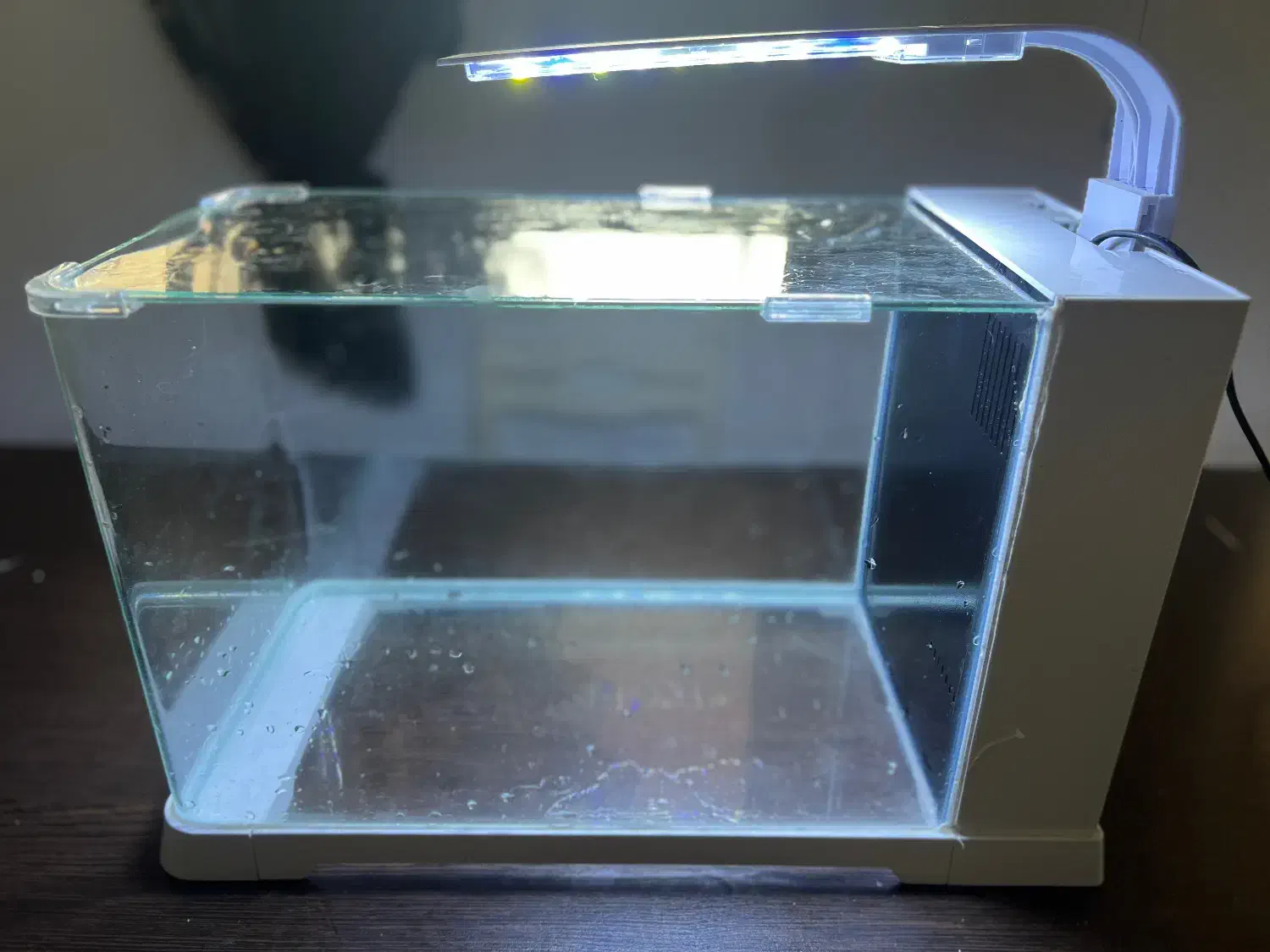 اکواریوم دلسا|ماهی|ساری, |دیوار