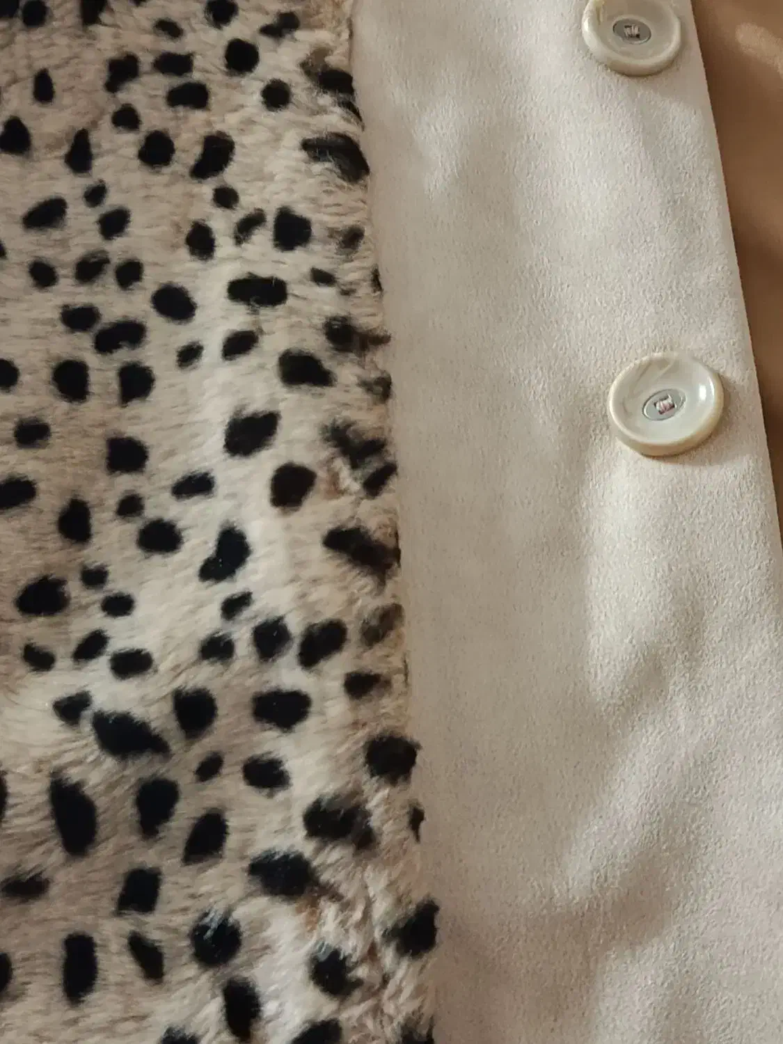 پاییزی|لباس|یزد, |دیوار