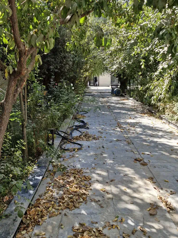 ویلای رویاهاتو باهم پیدا کنیم/650م باغچه/آقای ویلا|فروش خانه و ویلا|محمدشهر, محمدشهر|دیوار