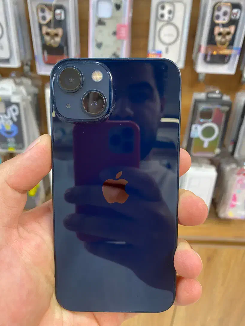 iphone 13 normal|موبایل|کرج, باغستان|دیوار