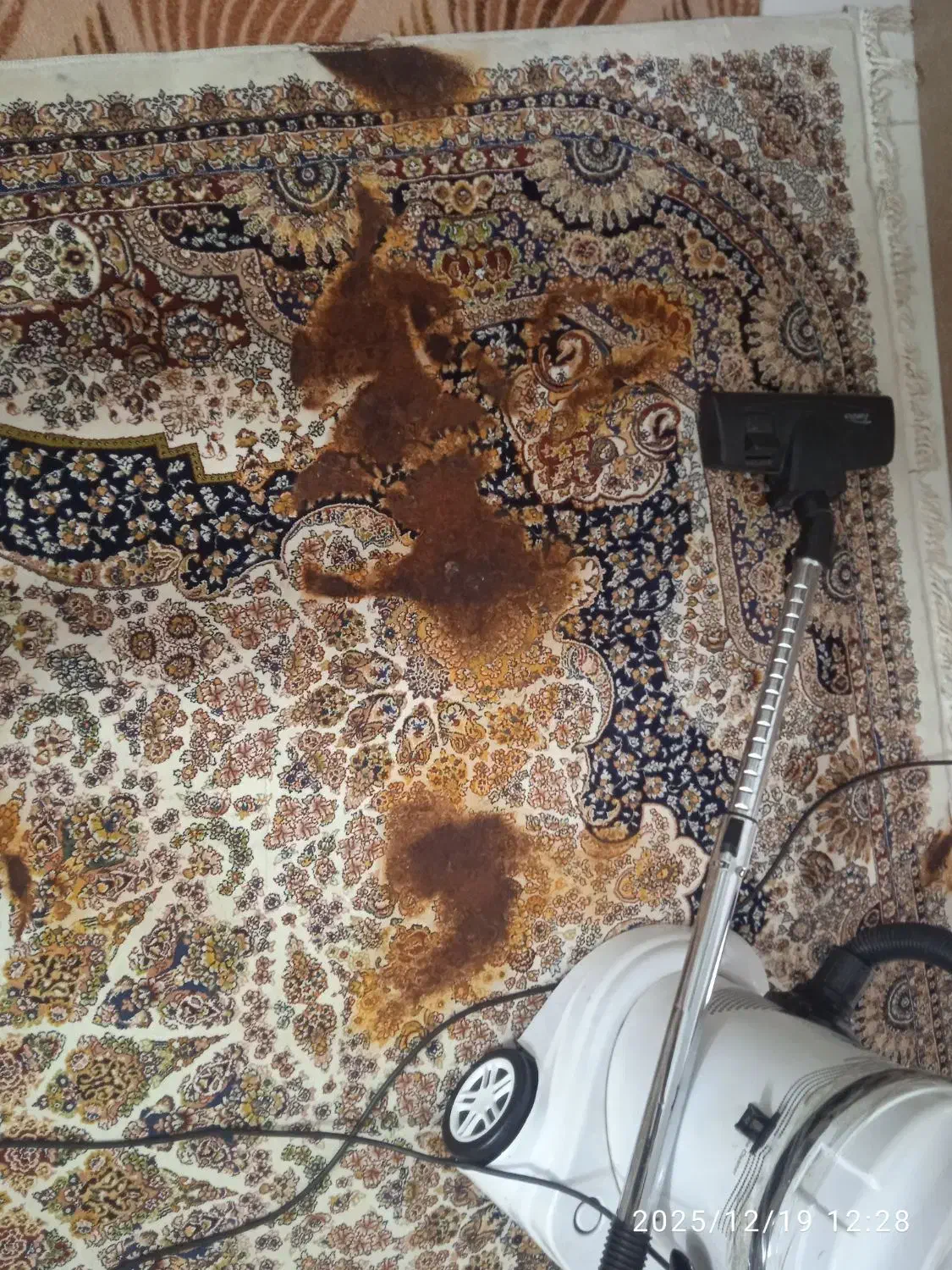 دو عدد فرش فروشی توافقی|فرش|نیشابور, کریم آباد|دیوار