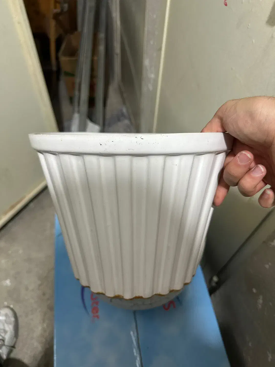 گلدون و پایه|گل و گیاه طبیعی|کرج, گوهردشت|دیوار