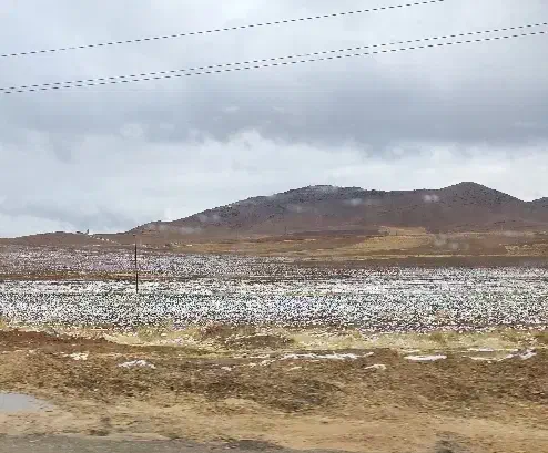 زمین دیم مناسب برای کاشت انگور دیم|فروش زمین و ملک کلنگی|محمدبار, |دیوار