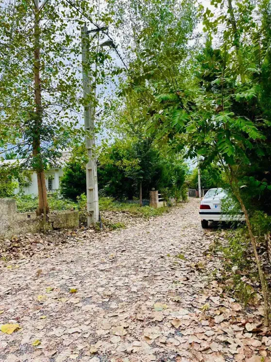 ویلا باغ مشجر250متری|فروش خانه و ویلا|چمستان, |دیوار