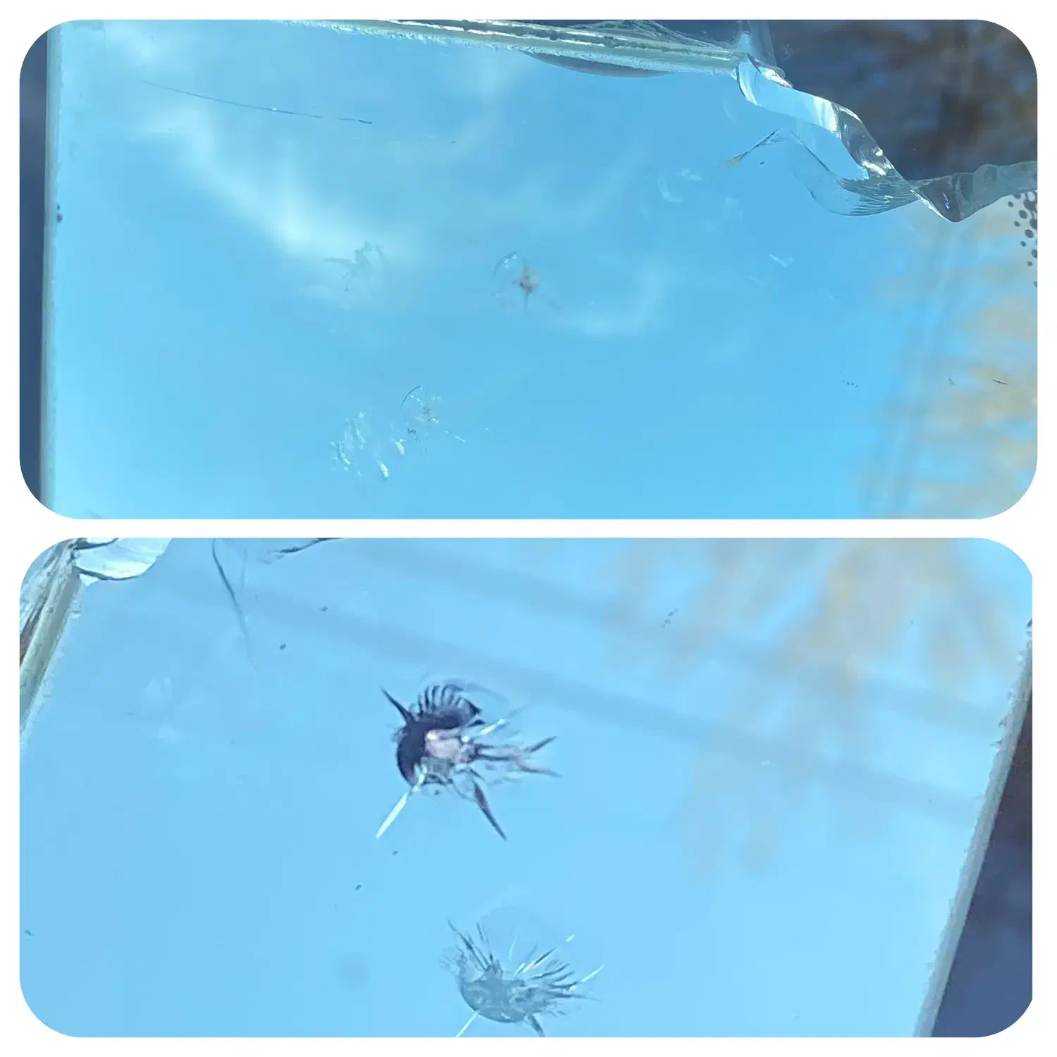 ترمیم شیشه خودرو|خدمات موتور و ماشین|کرمانشاه, |دیوار