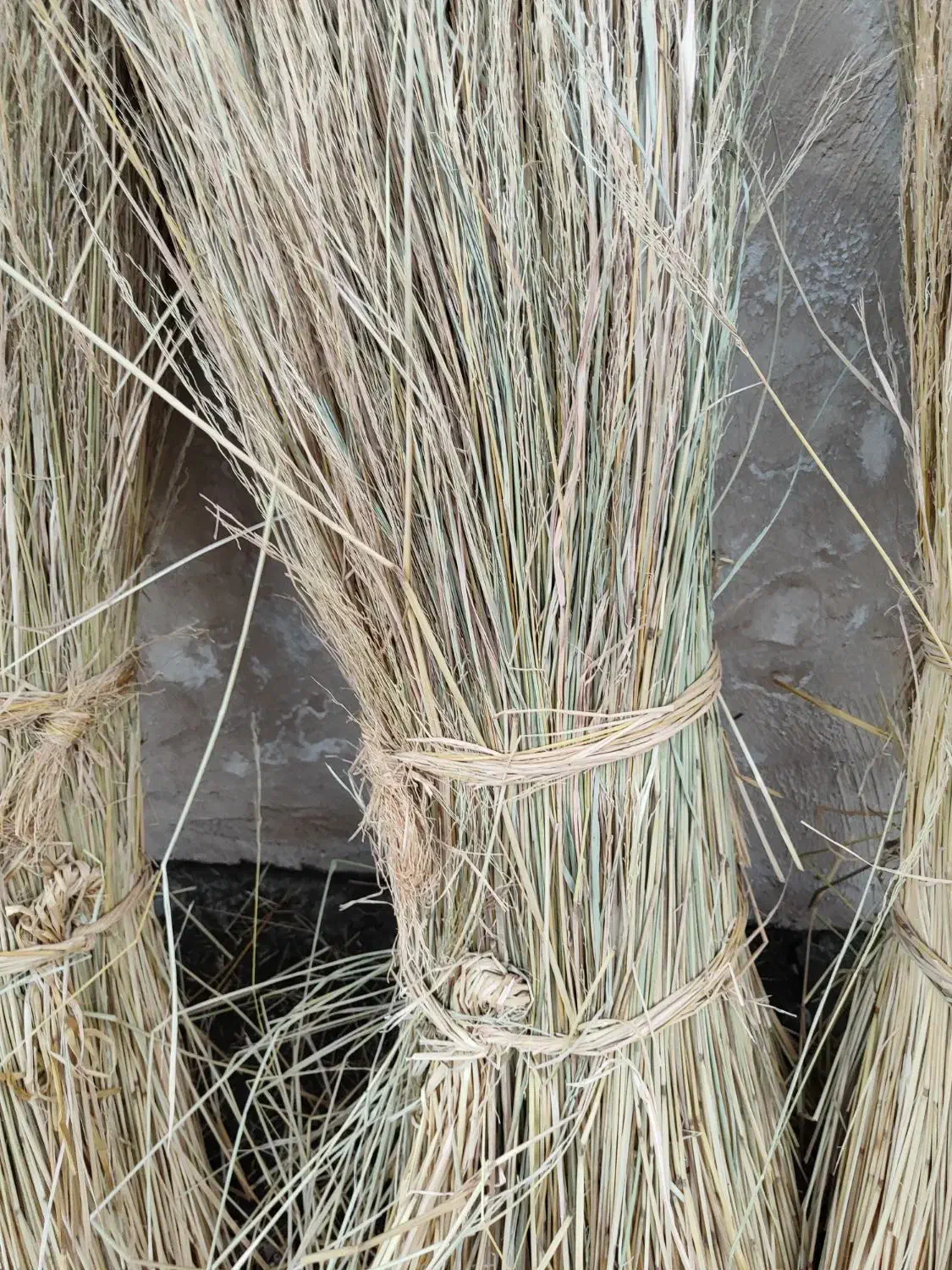 کلوش یا کولوش|عمدهفروشی|سنگر, |دیوار