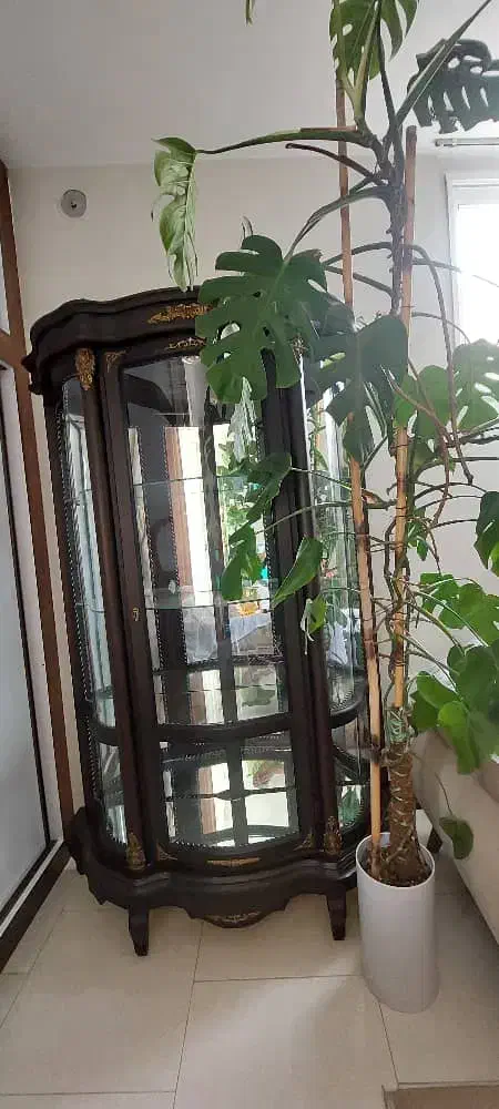 ویترین|بوفه، ویترین، کنسول|اصفهان, کوجان|دیوار