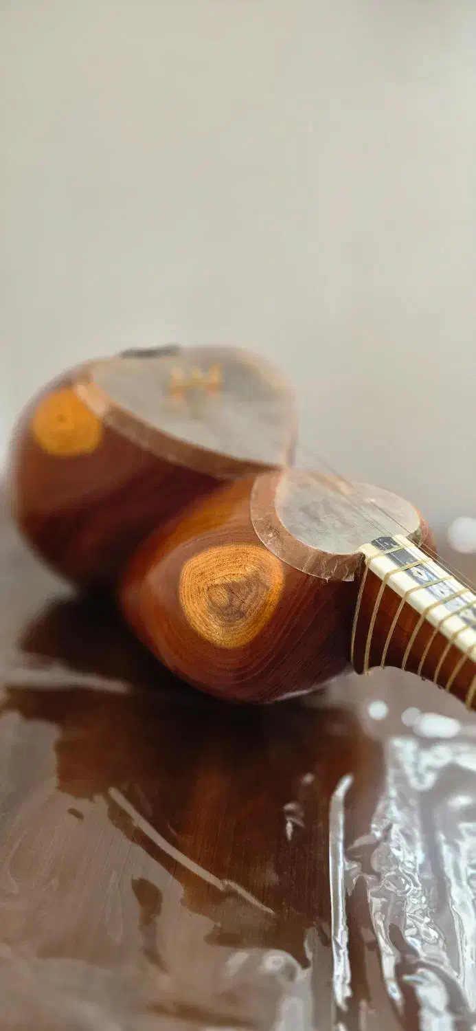 تار ایرانی|سازهای سنتی|تبریز, |دیوار