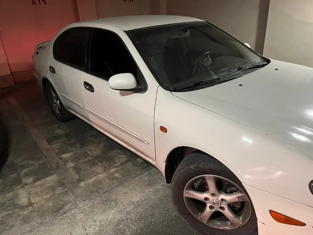 ماکسیما مدل ۸۷ بی رنگ|خودرو سواری و وانت|ری, جوانمرد قصاب|دیوار