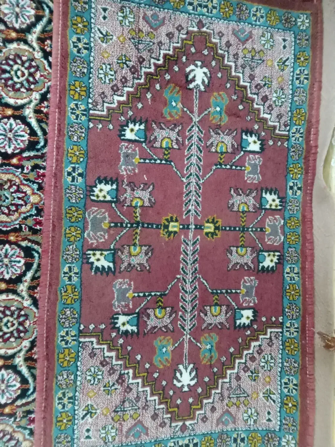 فروش پادری|پادری|آران و بیدگل, |دیوار