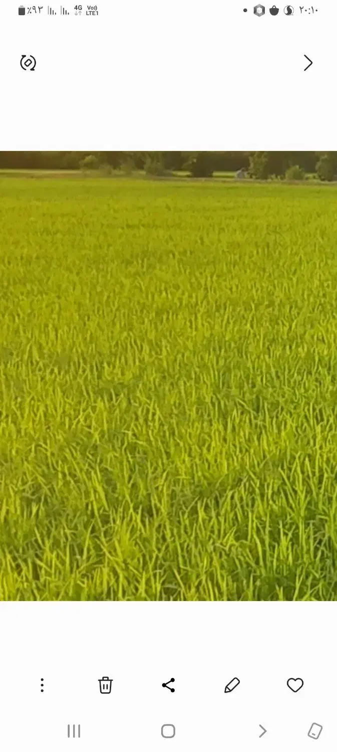 فروش زمین کشاورزی آبی|فروش زمین و ملک کلنگی|تاتار علیا, |دیوار