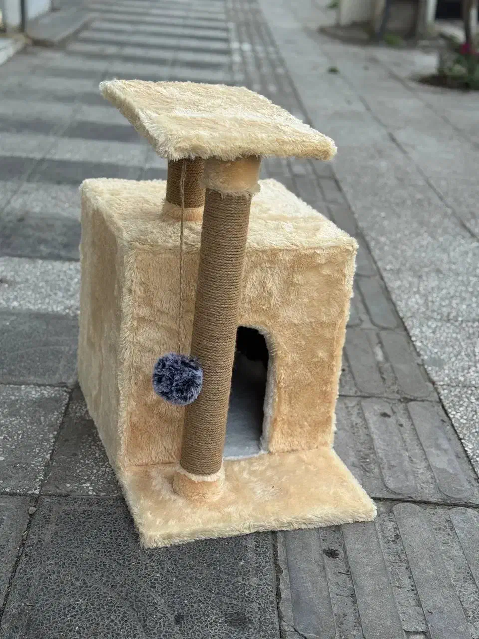 جای خواب و اسکرچر گربه|لوازم جانبی حیوانات|آستانه اشرفیه, |دیوار