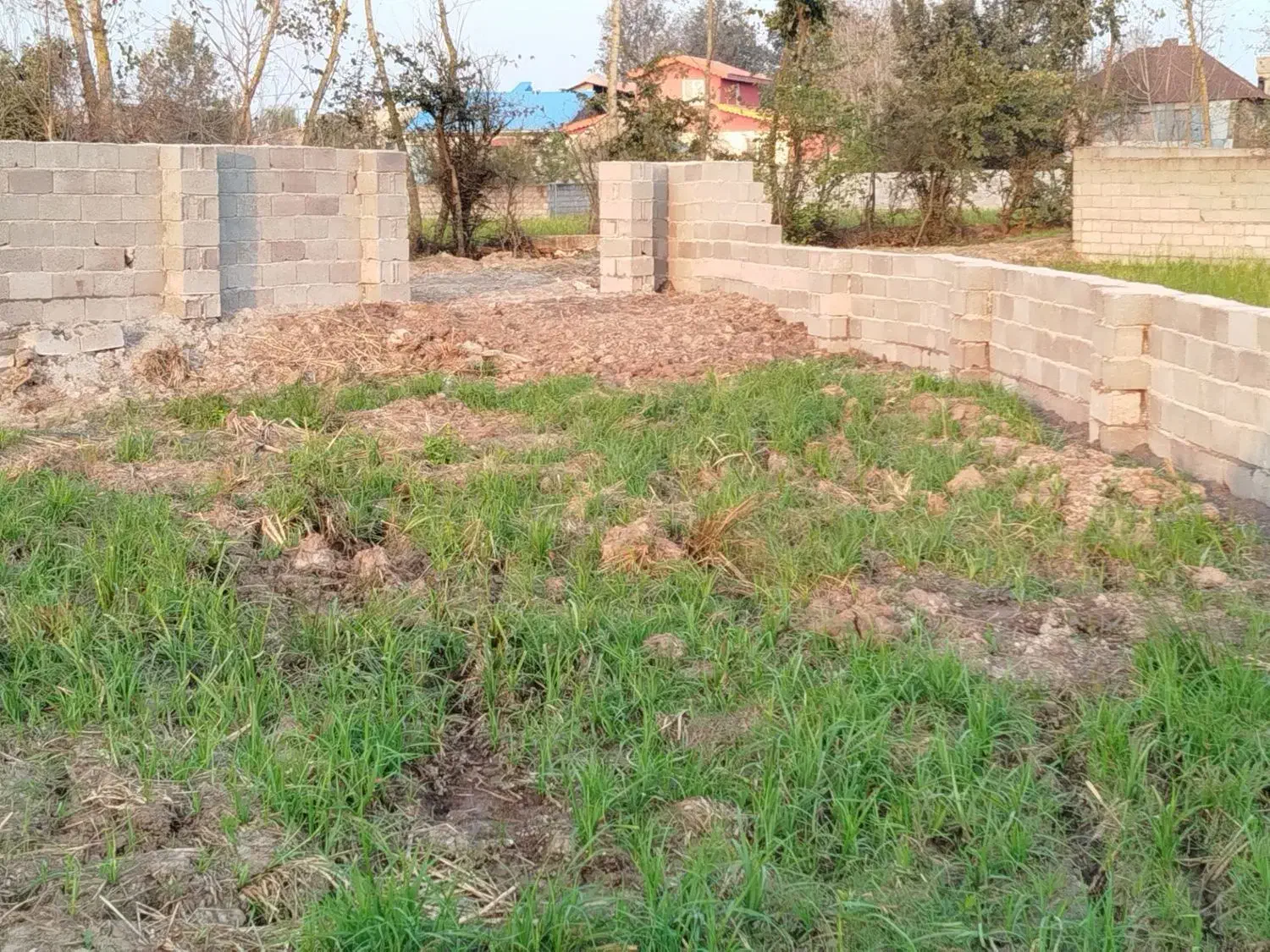 فروش فوری زمین|فروش زمین و ملک کلنگی|رودبنه, |دیوار