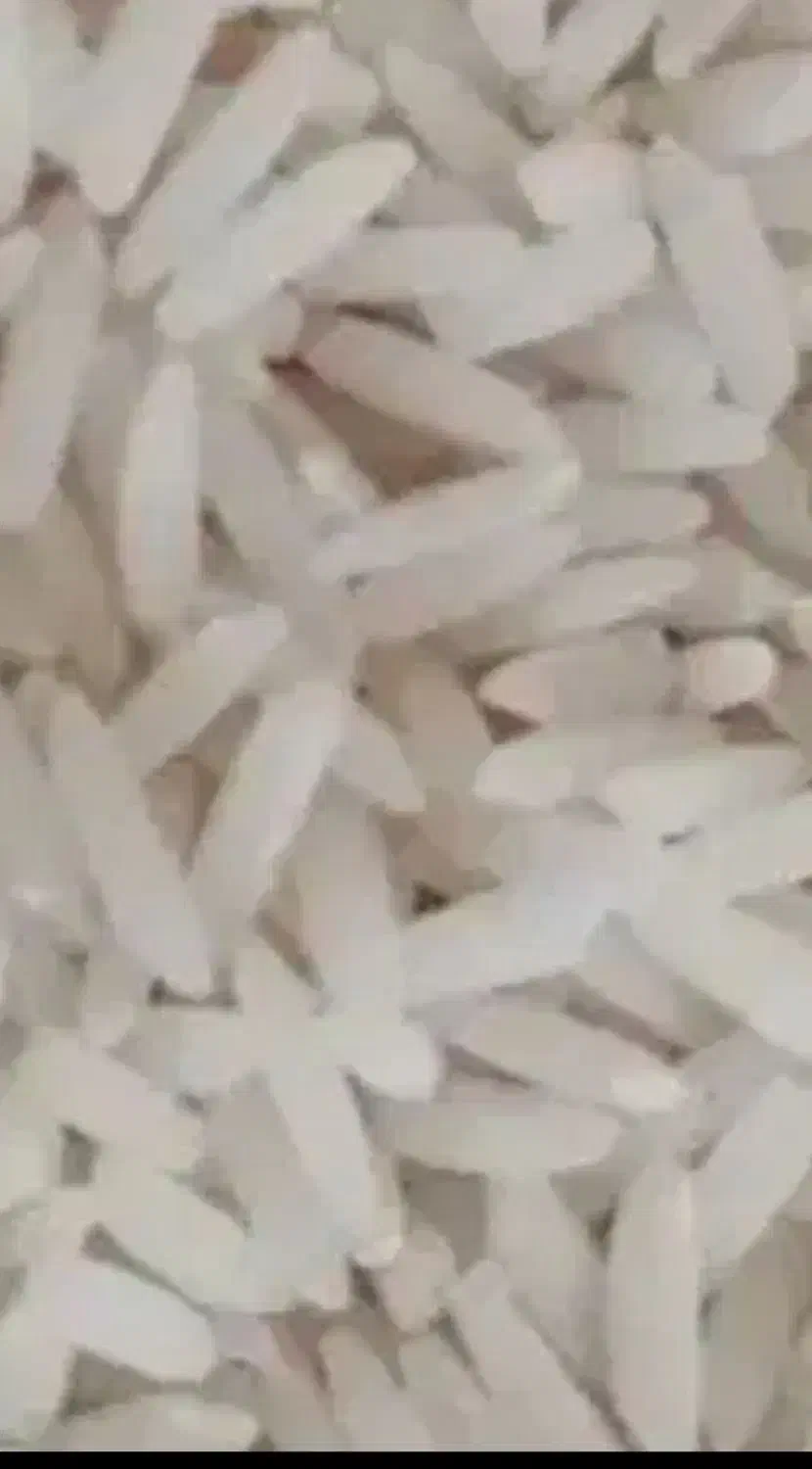 برنج محلی|خوردنی و آشامیدنی|سیلاخور, |دیوار