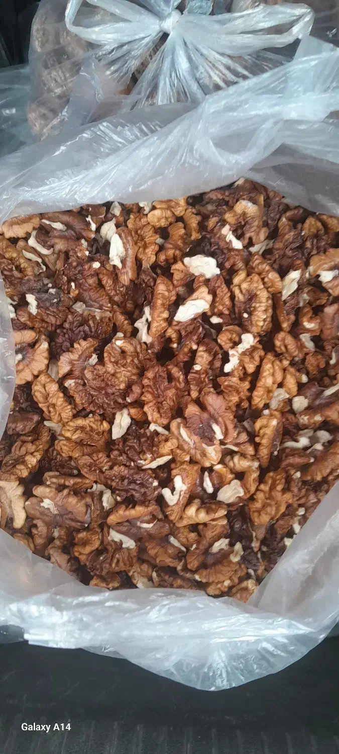 مغز گردو|حراج|یزد, |دیوار