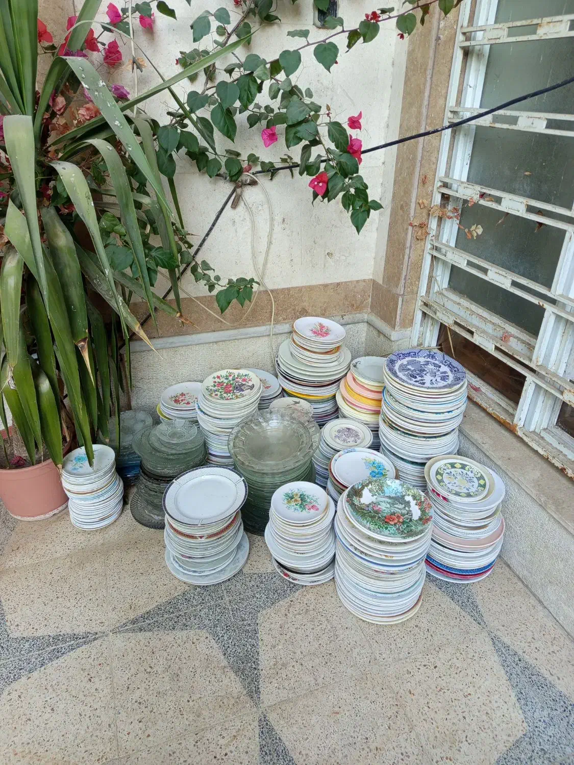 بشقاب چینی ومیلا مین|ظروف سرو و پذیرایی|شیراز, کوشک میدان|دیوار