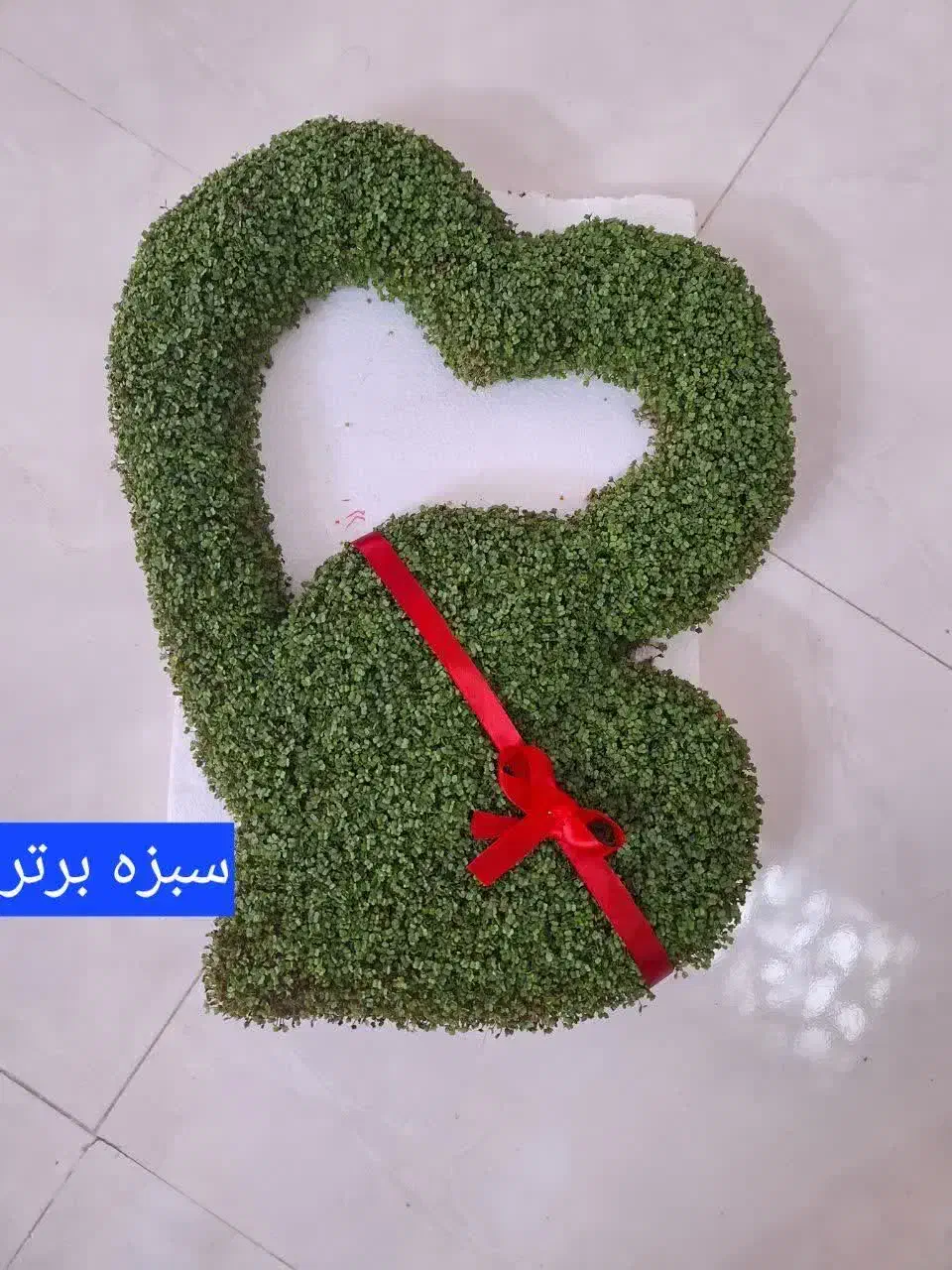 سبزه برتر|گل و گیاه طبیعی|اصفهان, دانشگاه اصفهان|دیوار