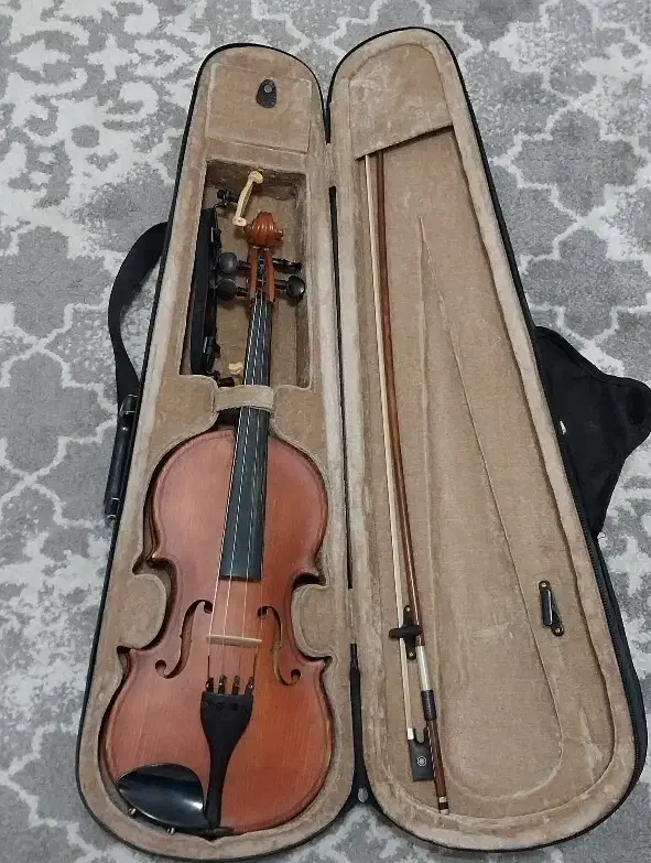 ویالون|ویولن|تهران, جردن|دیوار