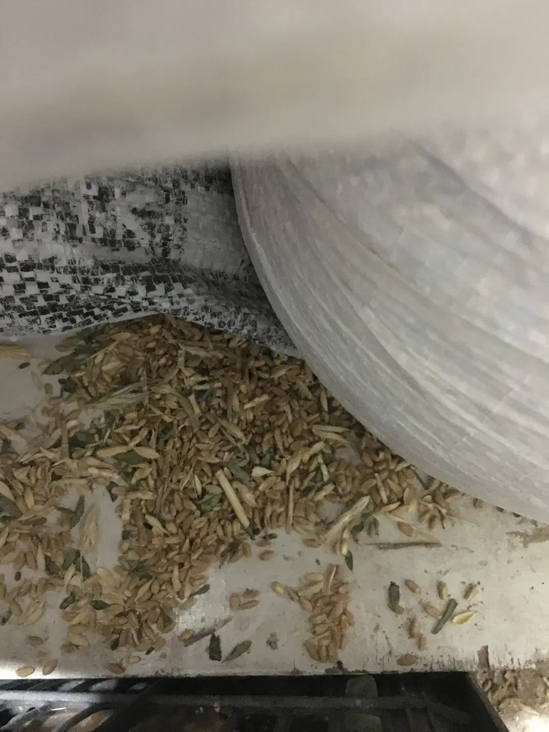 گندم|خوردنی و آشامیدنی|مشهد, فدک|دیوار