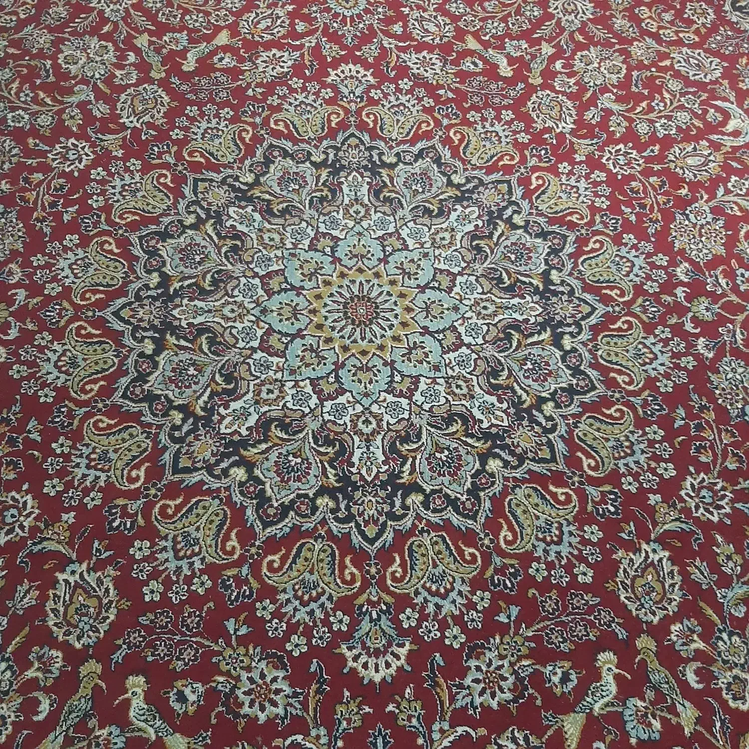 قالی ۱۲متری|فرش|اهواز, کوی سعدی|دیوار